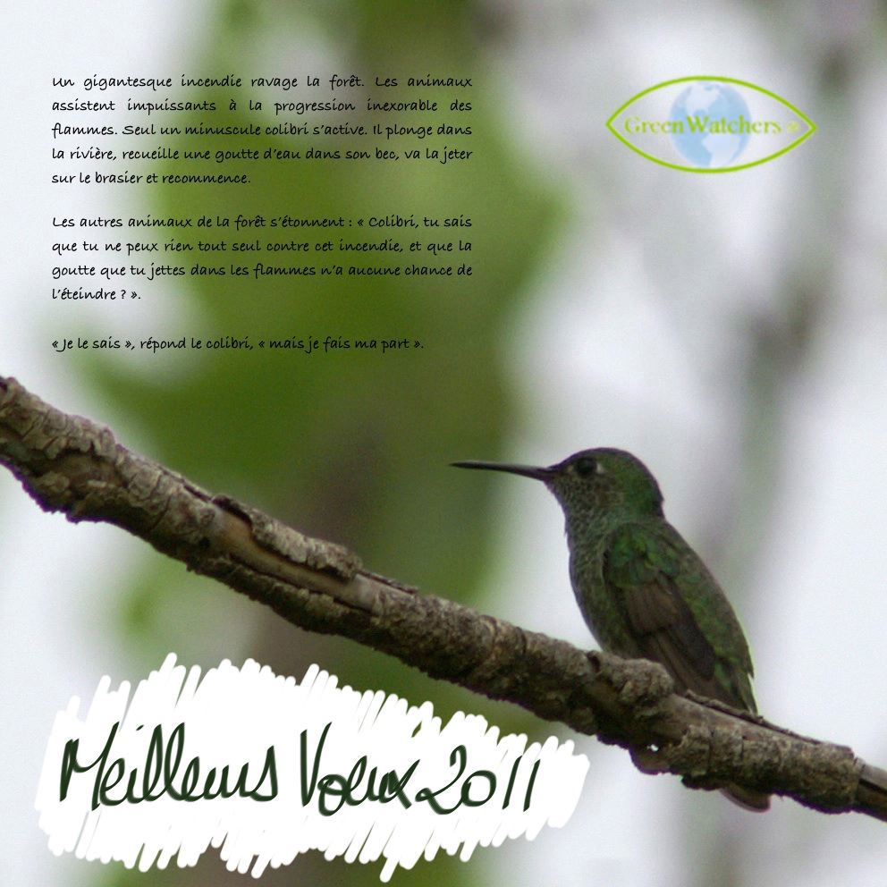 Les colibris GreenWatchers® vous souhaite une heureuse année 2011 !