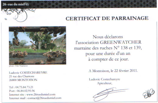 Green Bees : GreenWatchers est marraine !