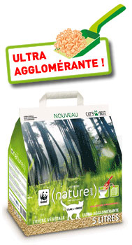 Votre chat est-il éco-responsable ?