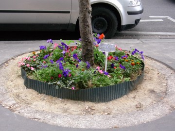 Fleurir un pied d'arbre près de chez vous ? C'est possible !