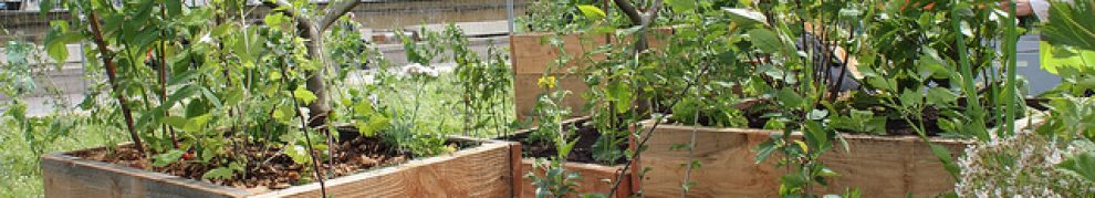 GreenWatchers 2.0 : c'est parti !