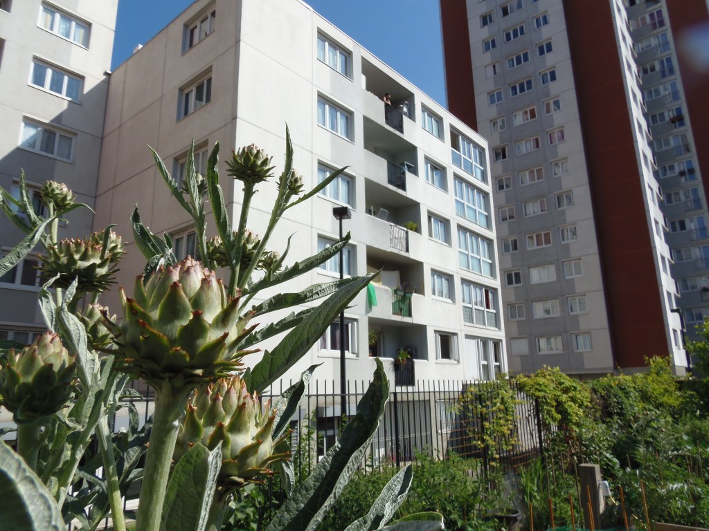 Jeudi 11 juin,  la permaculture comme outil de design&nbsp;urbain